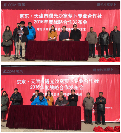 沙窝萝卜开卖啦 京东商城开启自营鲜蔬产地直