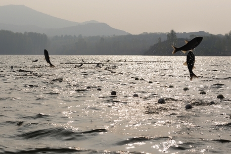 你离中国最美农庄还有多远?