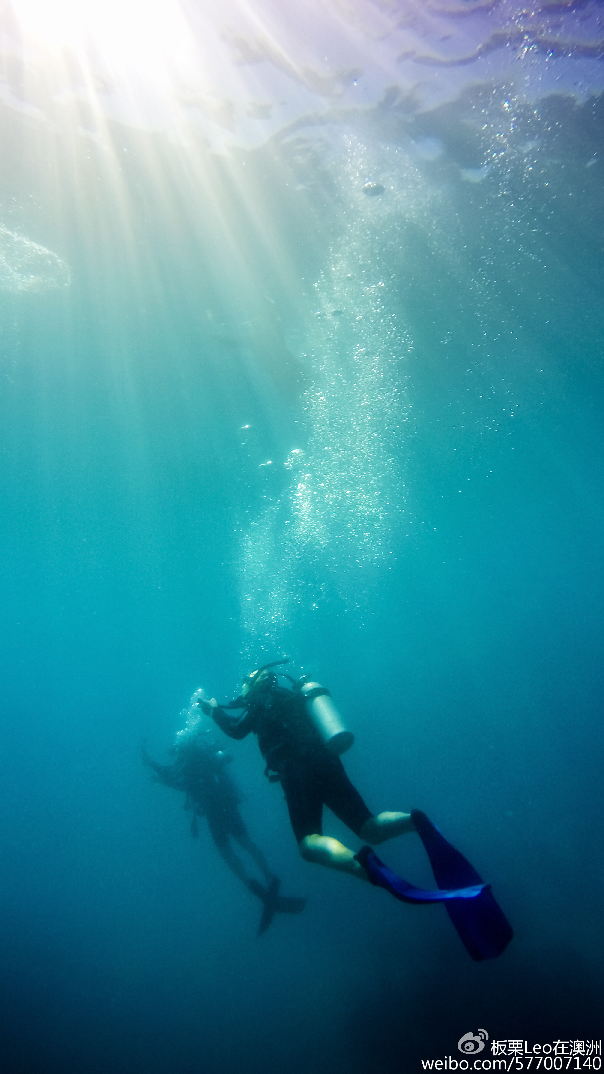 2022年水上拍摄无人机|水下拍摄无人机推荐，钓友神器，潜水拍摄，臻迪小海豚|潜行创新 - 知乎