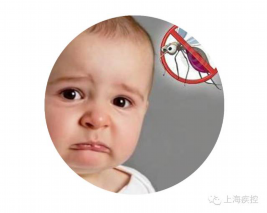 上海疾控提醒:蚊子爱叮嫩宝宝,乙脑疫苗及时种