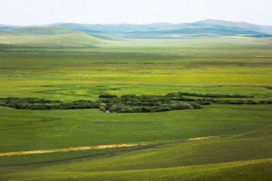 北疆天路:纵横在蒙古高原上的全域自驾体验