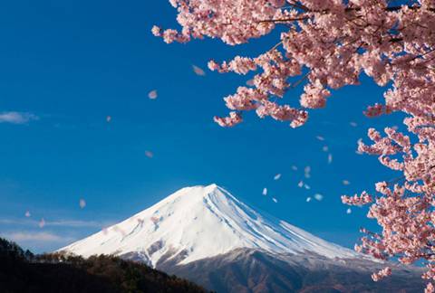 如果去日本的话（那就要去）东京& 富士山！政投银等调查都超过了 50%