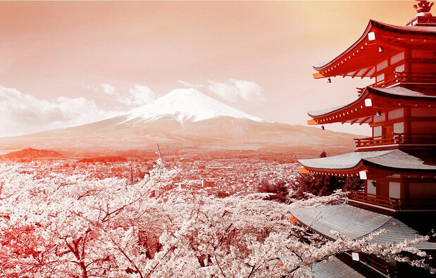 如果去日本的话（那就要去）东京& 富士山！政投银等调查都超过了 50%