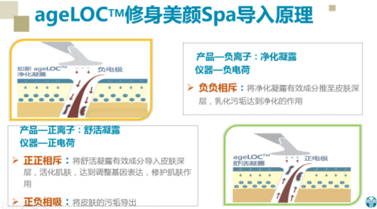 spa的原理是什么_spa是什么东西(2)